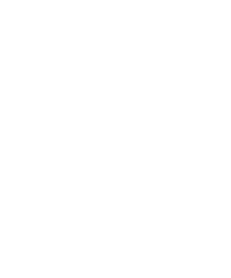 数字人一姐